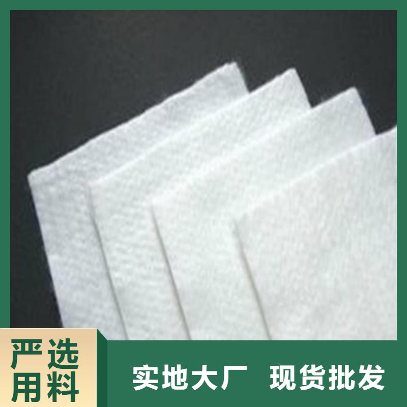土工布单向塑料土工格栅打造好品质