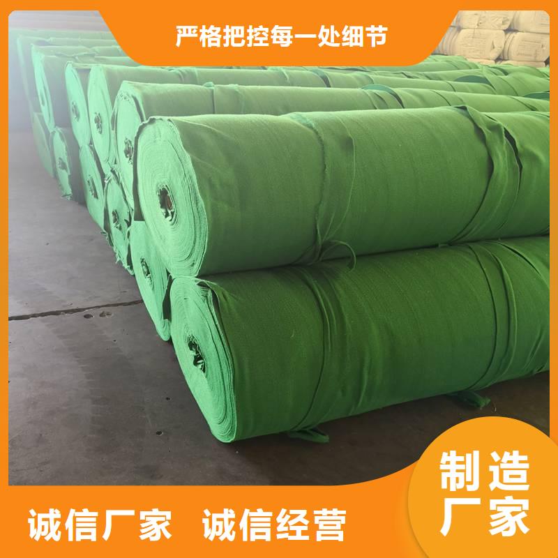 【土工布】三维植被网应用广泛