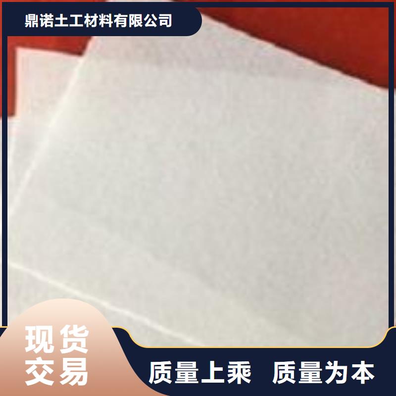 土工布钢塑土工格栅专注产品质量与服务