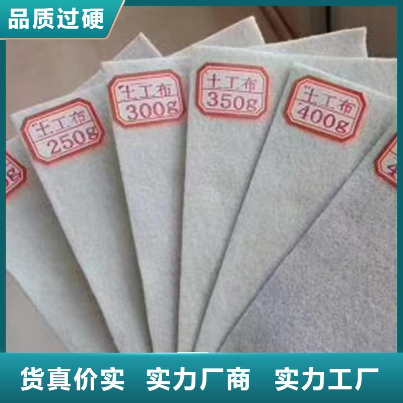 土工布钢塑土工格栅专注产品质量与服务