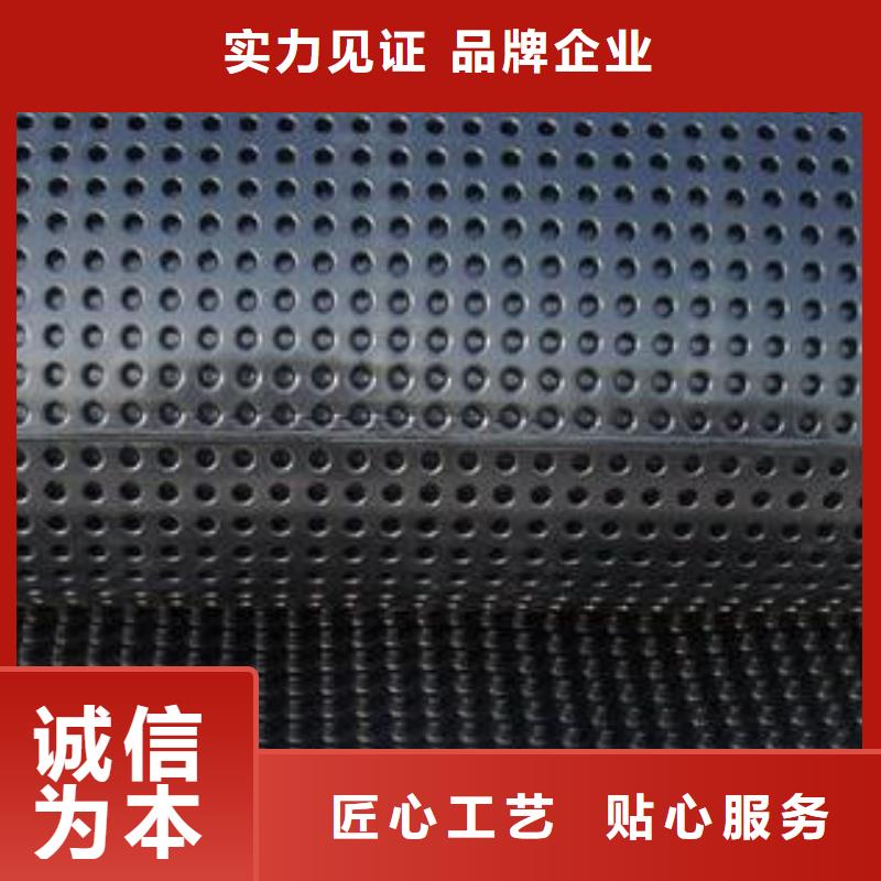 蓄排水板_膨润土防水毯实拍展现