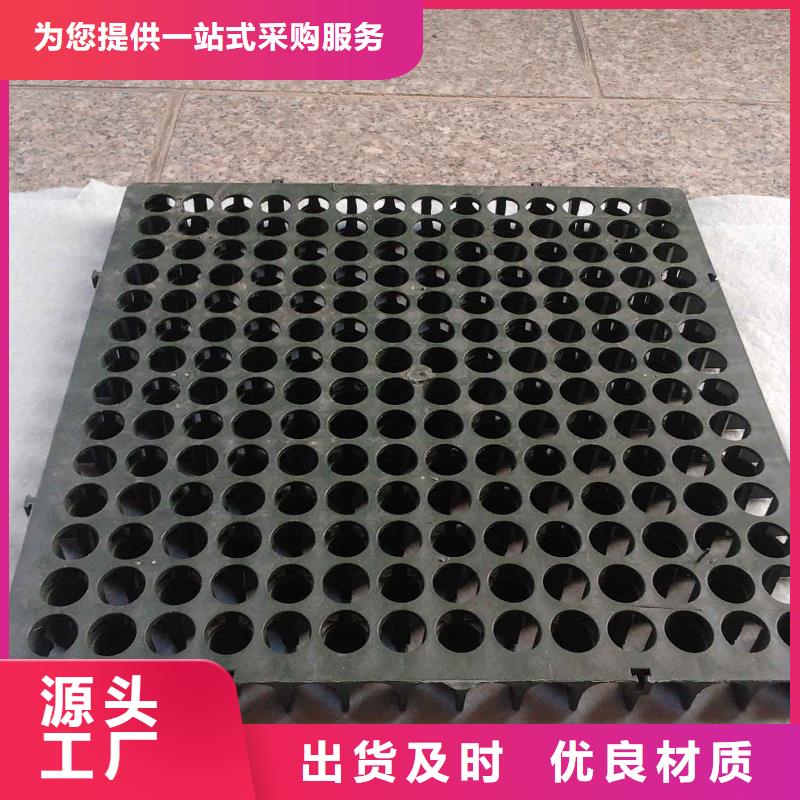 蓄排水板三维复合排水网的简单介绍