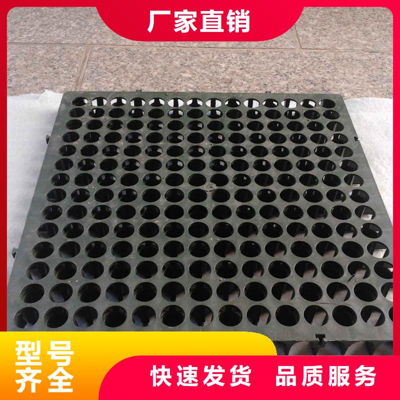【蓄排水板】-钢塑土工格栅定制零售批发