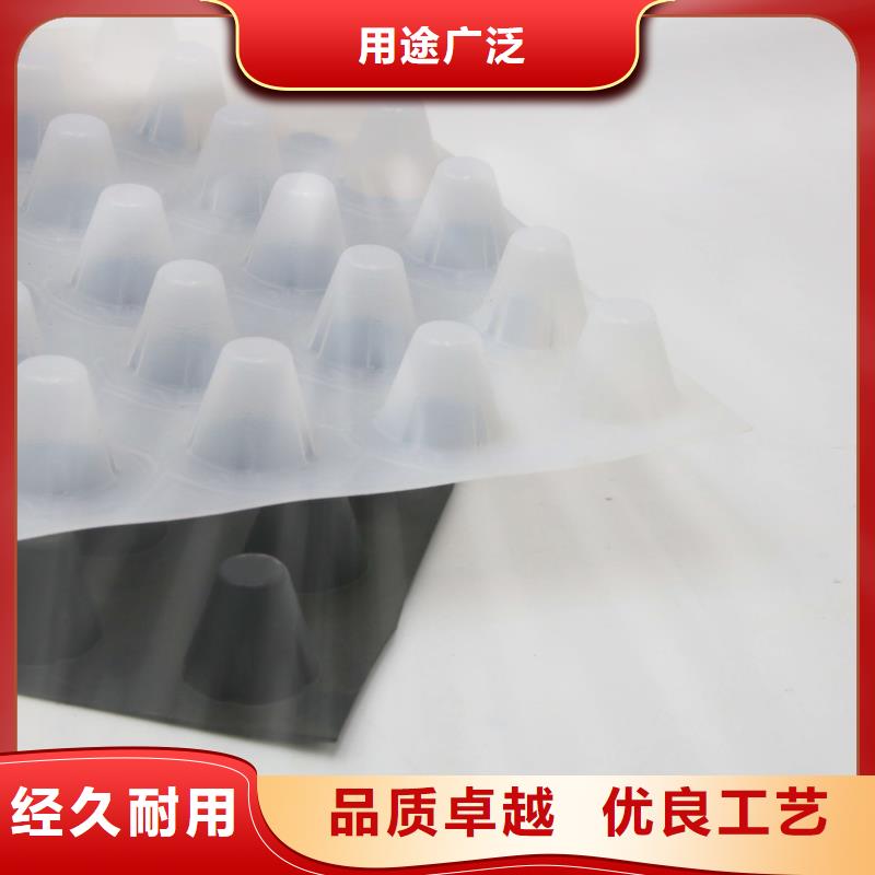 蓄排水板-水土保护毯诚信经营质量保证