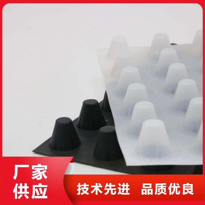 【蓄排水板玻纤格栅丰富的行业经验】