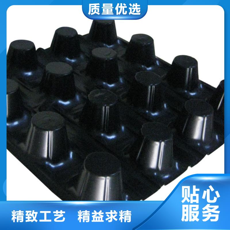 蓄排水板钢塑土工格栅可定制