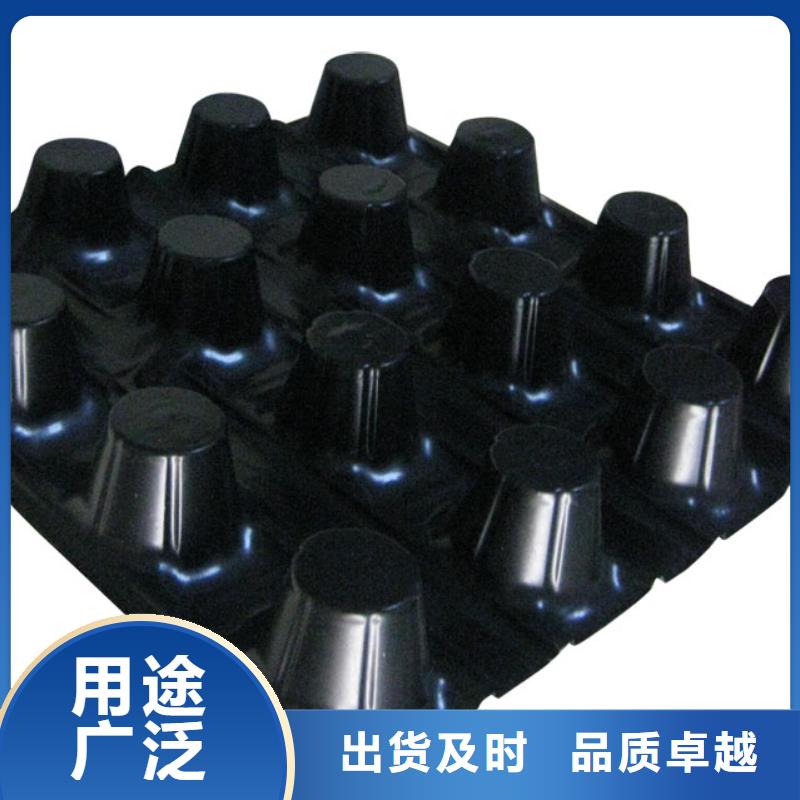 蓄排水板三维复合排水网用品质赢得客户信赖