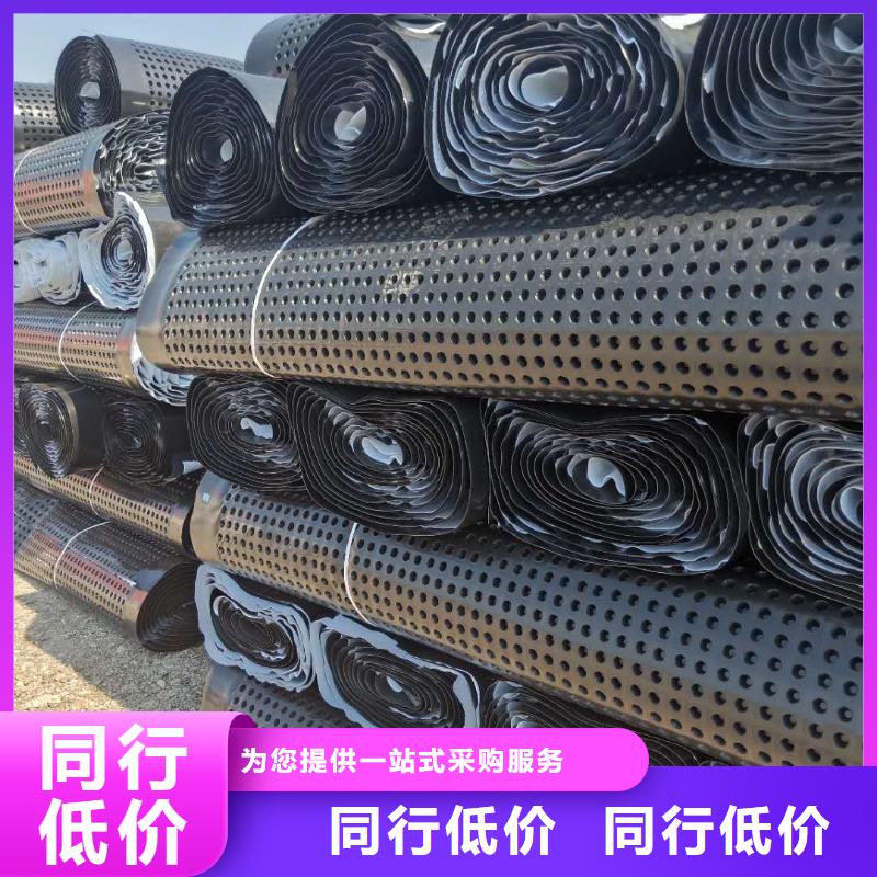 蓄排水板三维复合排水网的简单介绍