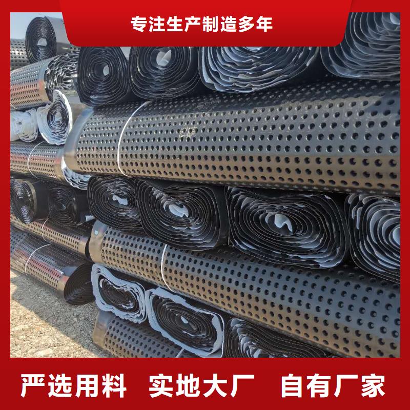 蓄排水板三维复合排水网用品质赢得客户信赖