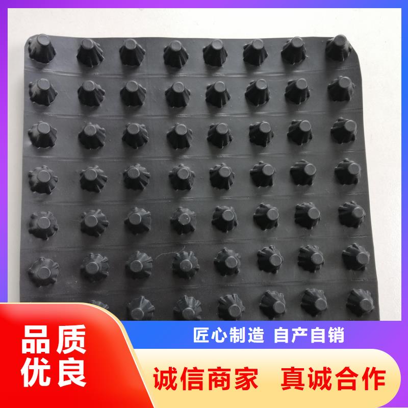 【蓄排水板凸结点钢塑土工格栅实力雄厚品质保障】