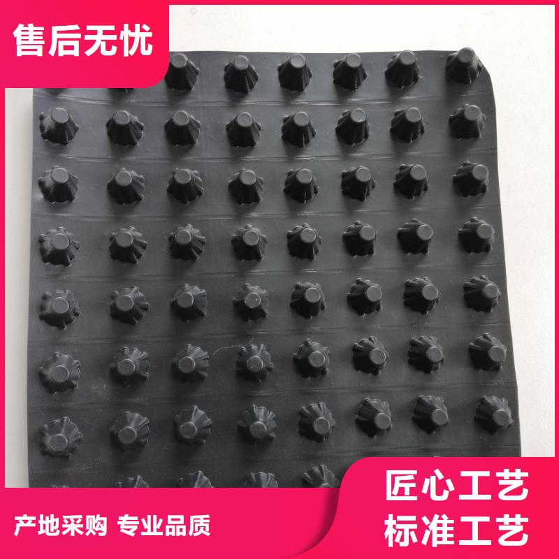 【蓄排水板】-钢塑土工格栅定制零售批发