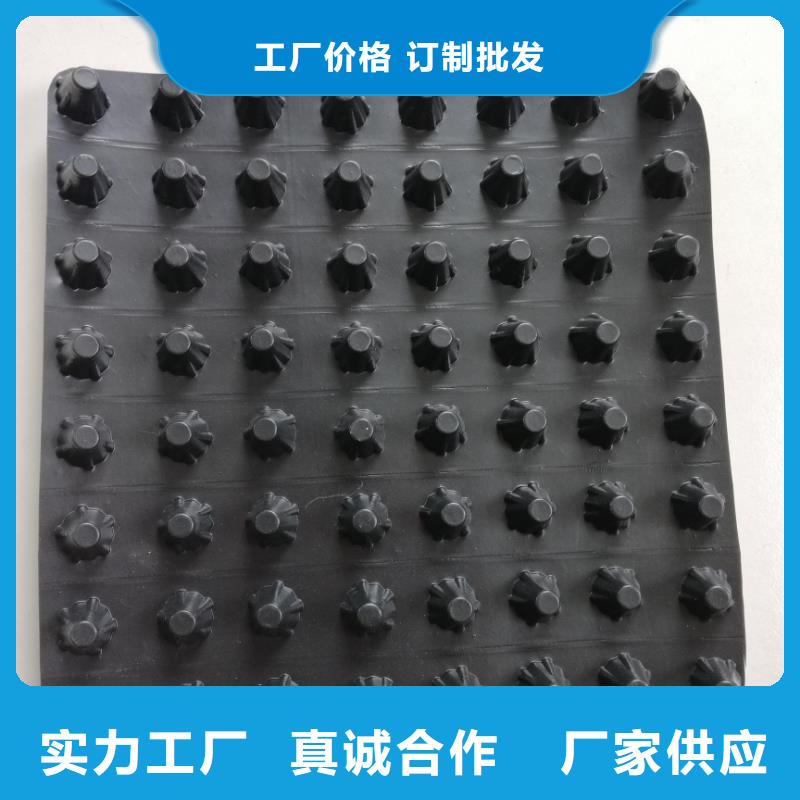蓄排水板三维复合排水网的简单介绍