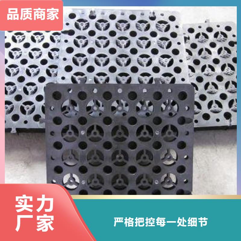 蓄排水板【土工格室】支持批发零售