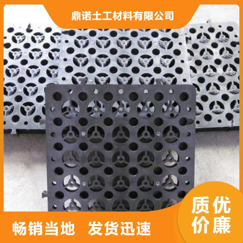 蓄排水板三维复合排水网用品质赢得客户信赖