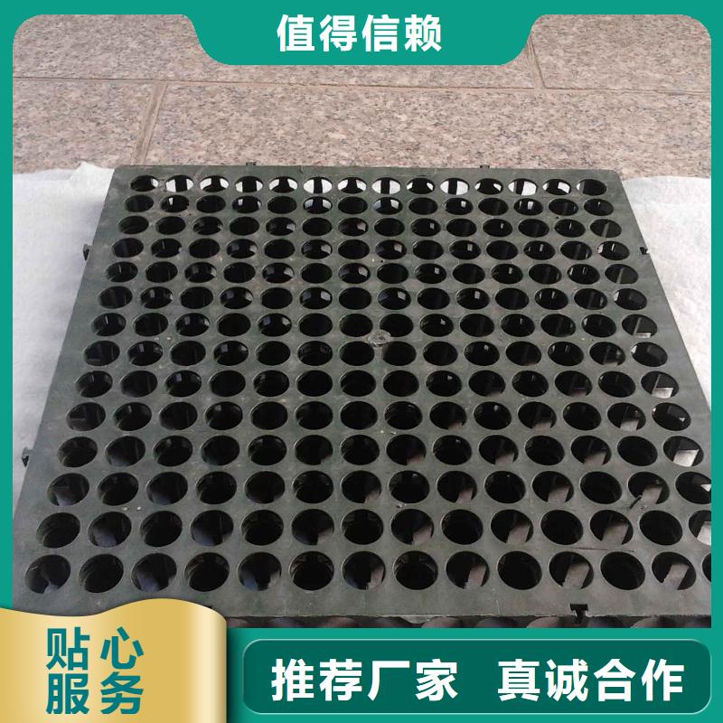 【蓄排水板】-钢塑土工格栅定制零售批发