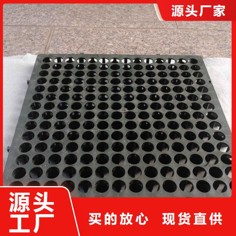 蓄排水板三维复合排水网用品质赢得客户信赖