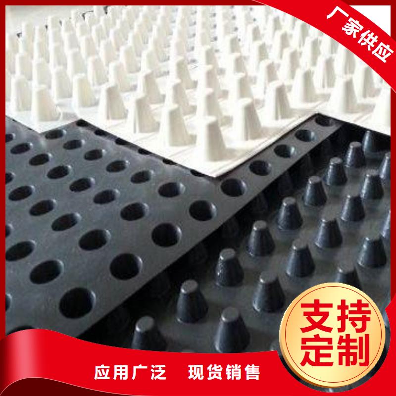 蓄排水板钢塑土工格栅可定制