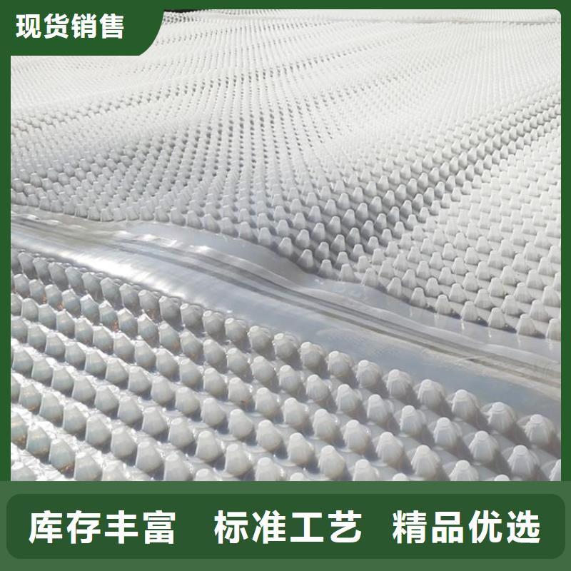 蓄排水板_膨润土防水毯实拍展现