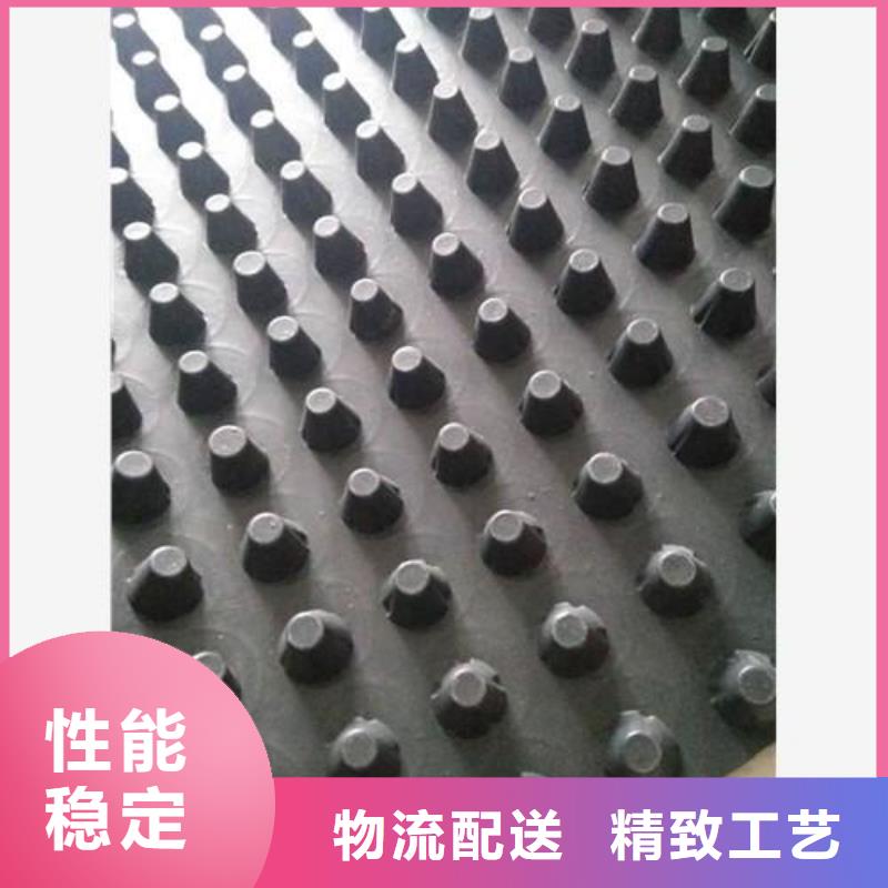 蓄排水板-土工席垫专业设计