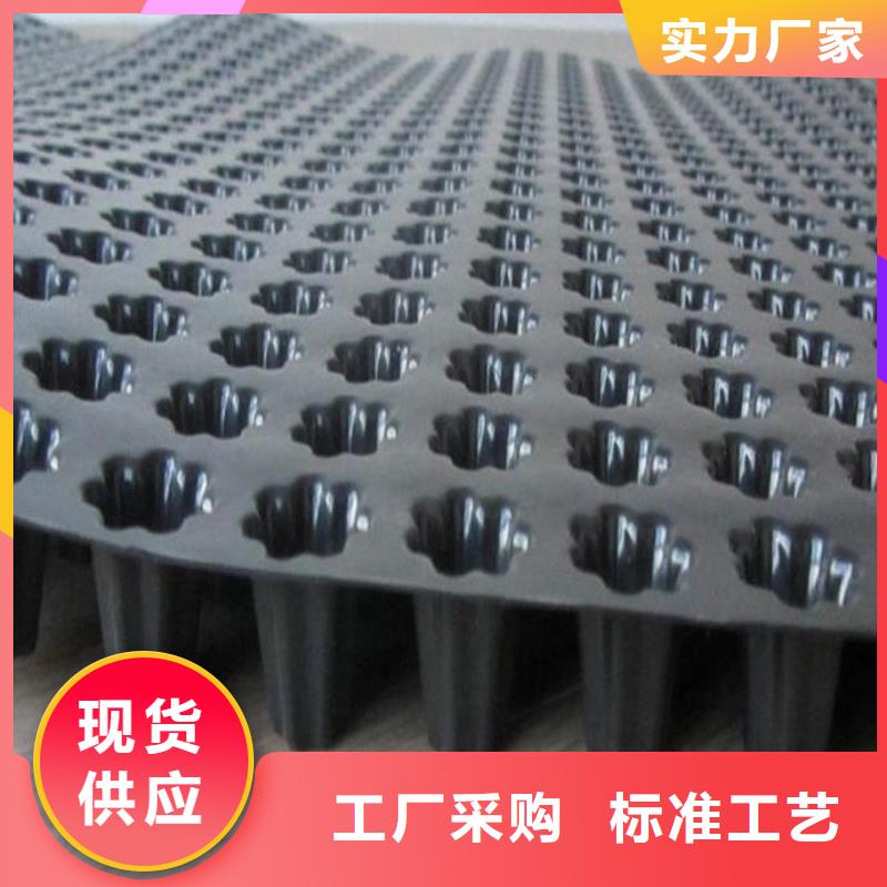 【蓄排水板凸结点钢塑土工格栅实力雄厚品质保障】