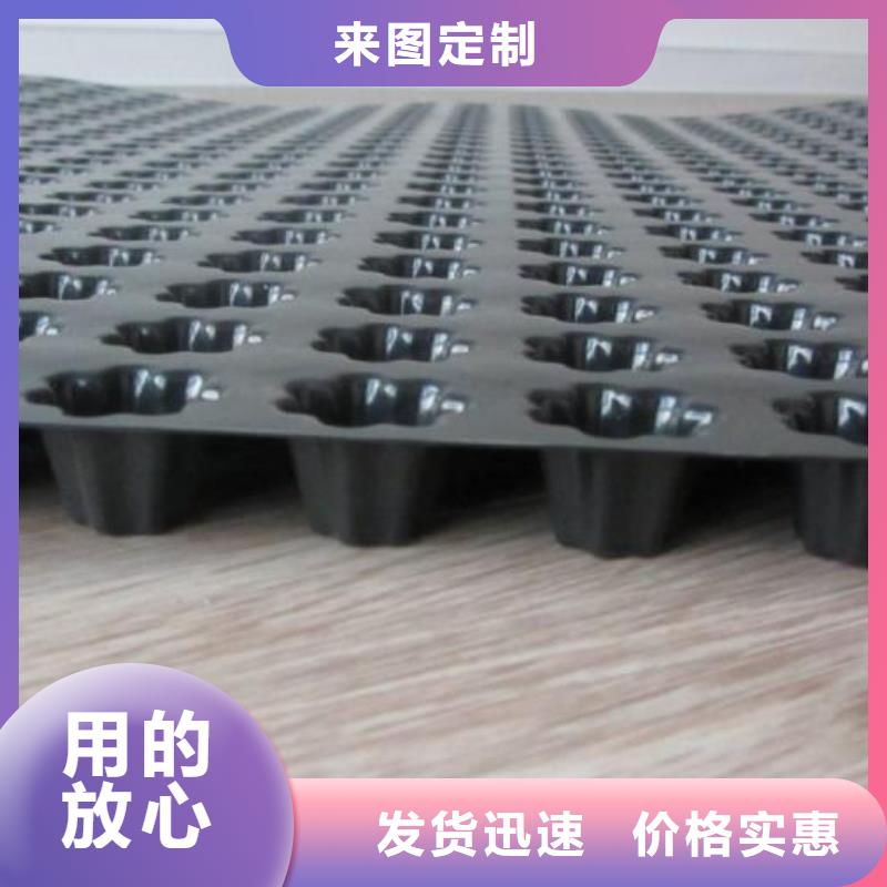 蓄排水板【土工格室】支持批发零售