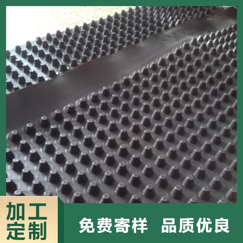 蓄排水板钢塑土工格栅可定制
