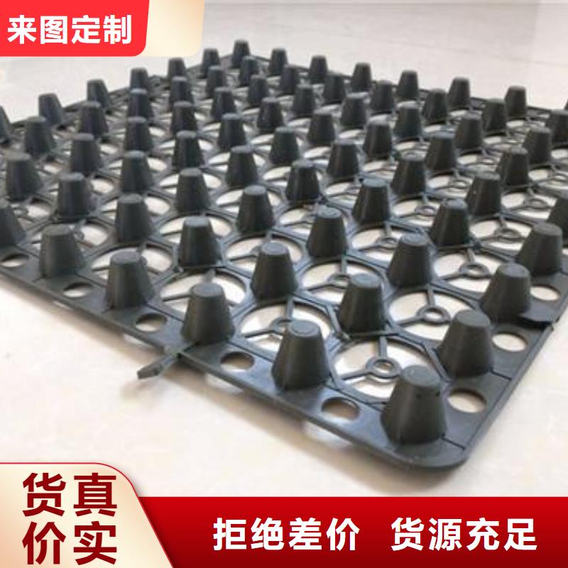 蓄排水板三维复合排水网的简单介绍