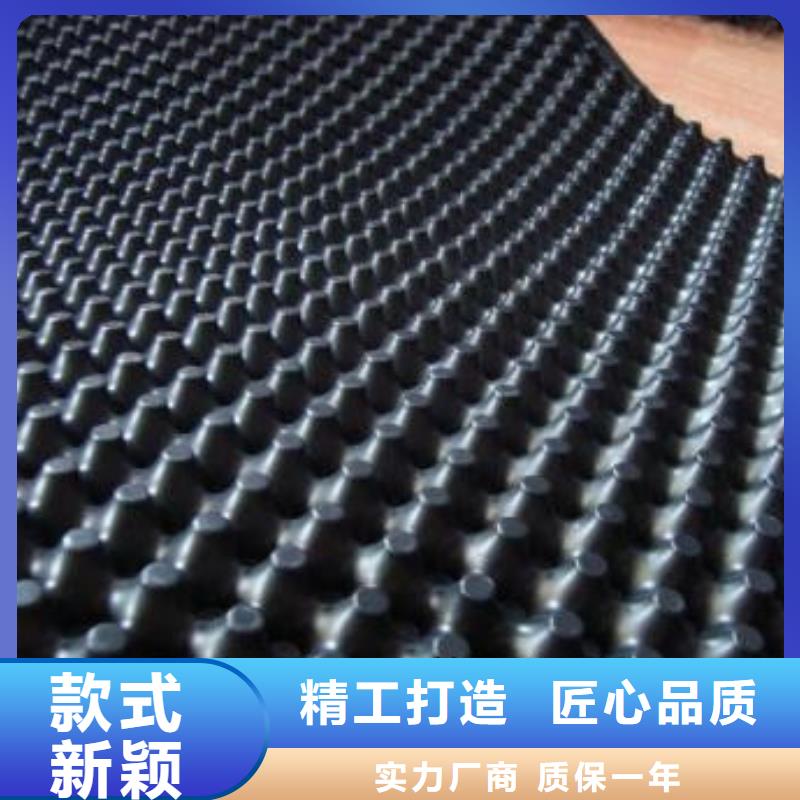 蓄排水板【土工格室】支持批发零售