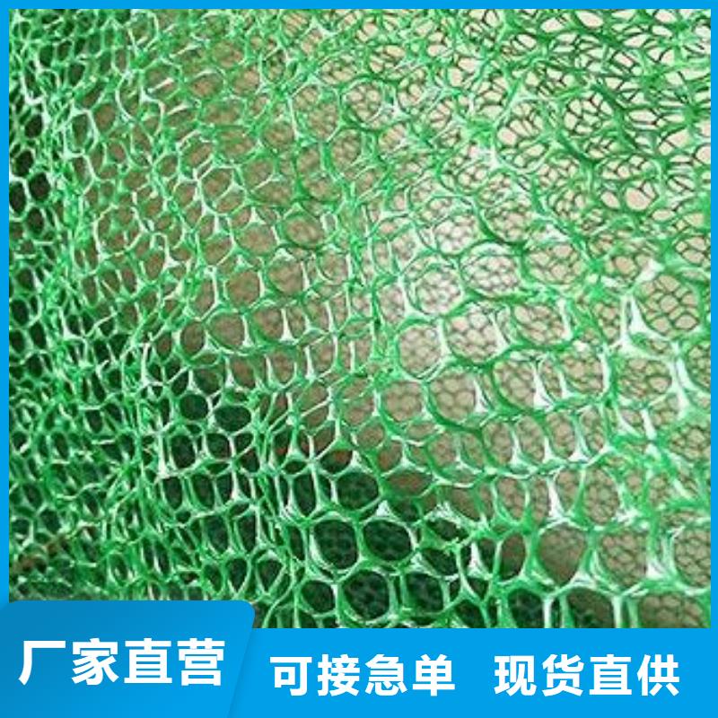 三维植被网-【长丝土工布】品质有保障