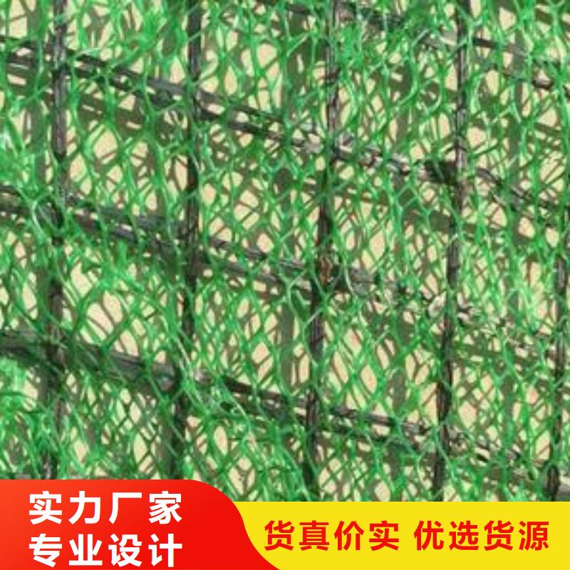 【三维植被网护坡土工网来电咨询】