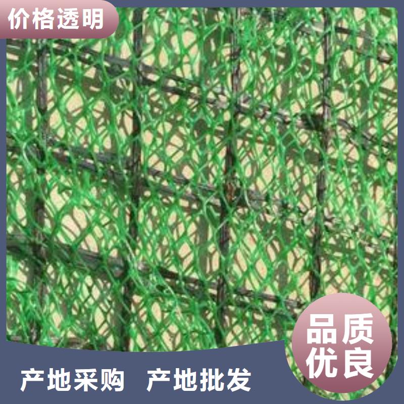 三维植被网【钢塑土工格栅】符合标准