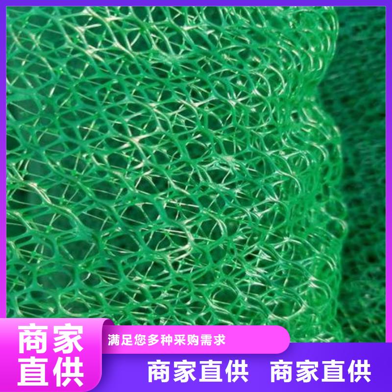 三维植被网三维土工网垫大量现货