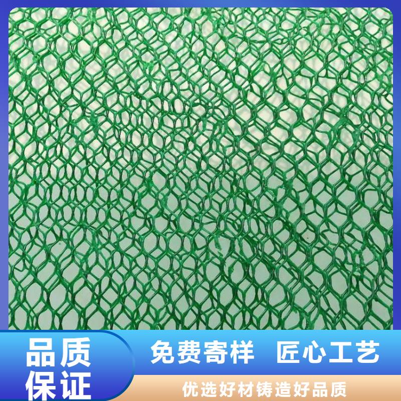 【三维植被网】涤纶土工格栅经验丰富质量放心