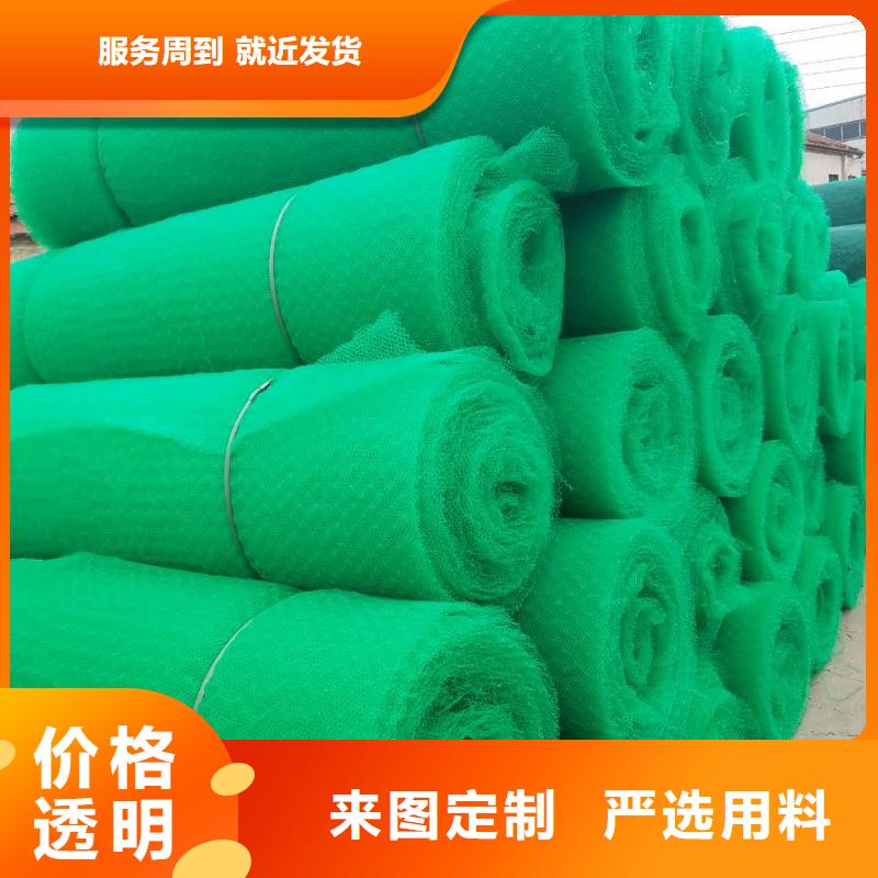 三维植被网双向塑料土工格栅批发商