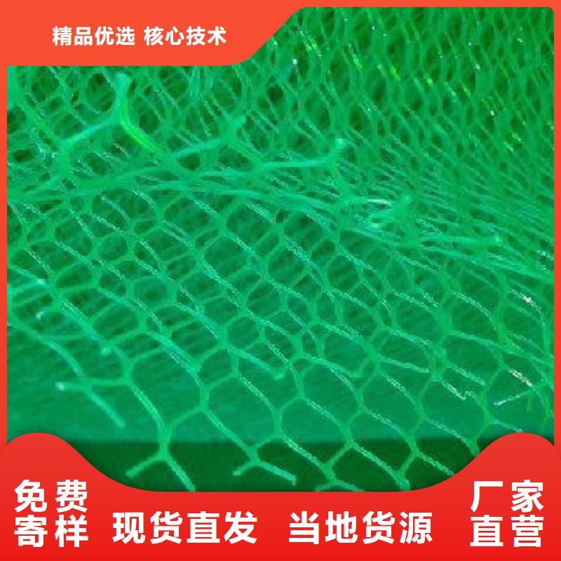 三维植被网双向塑料土工格栅批发商