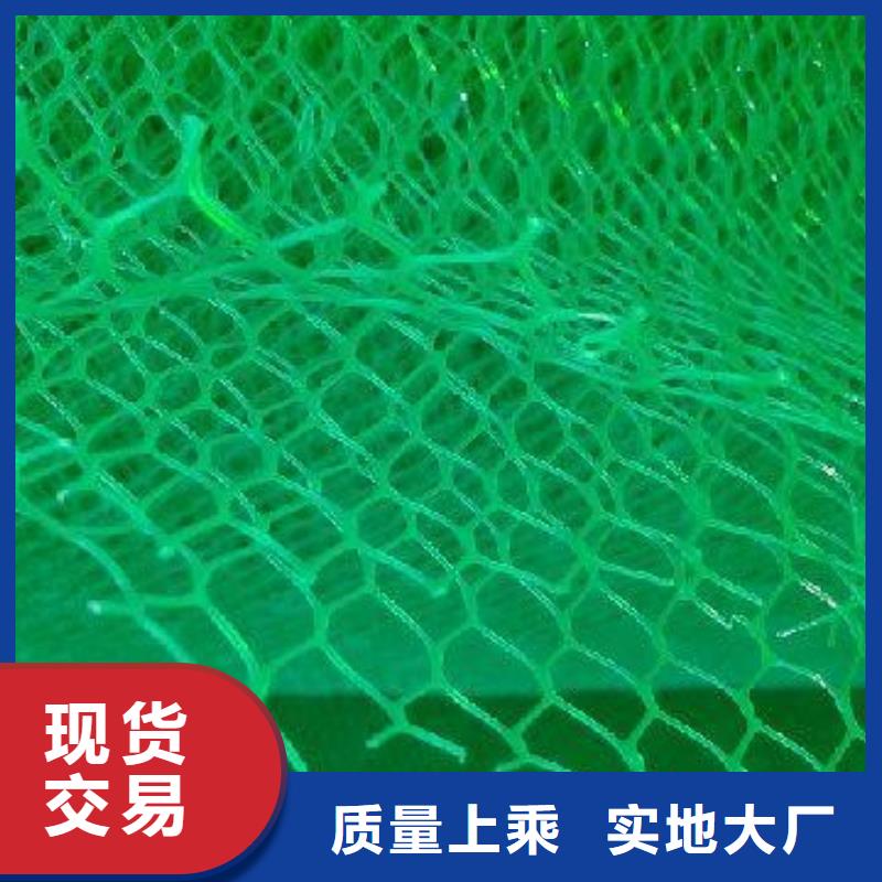 三维植被网优选厂商