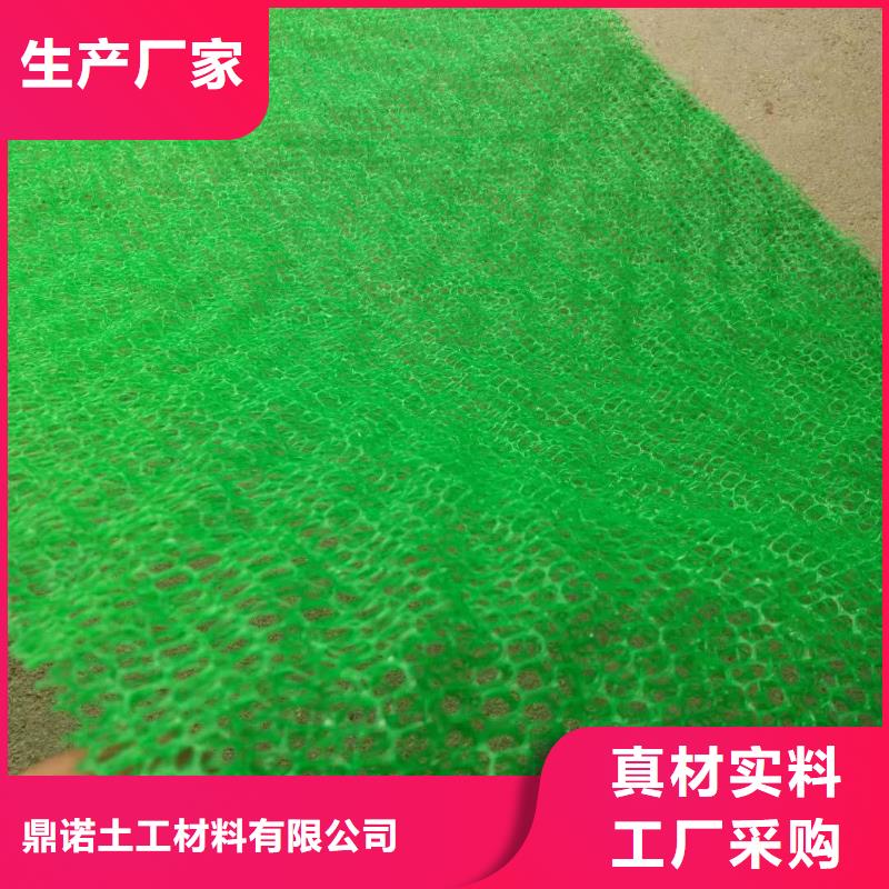 三维植被网,玻纤土工格栅厂家定制