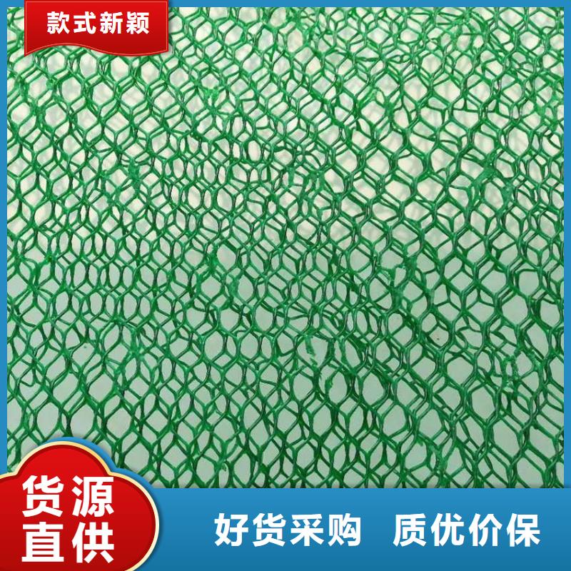 三维植被网【钢塑土工格栅】符合标准