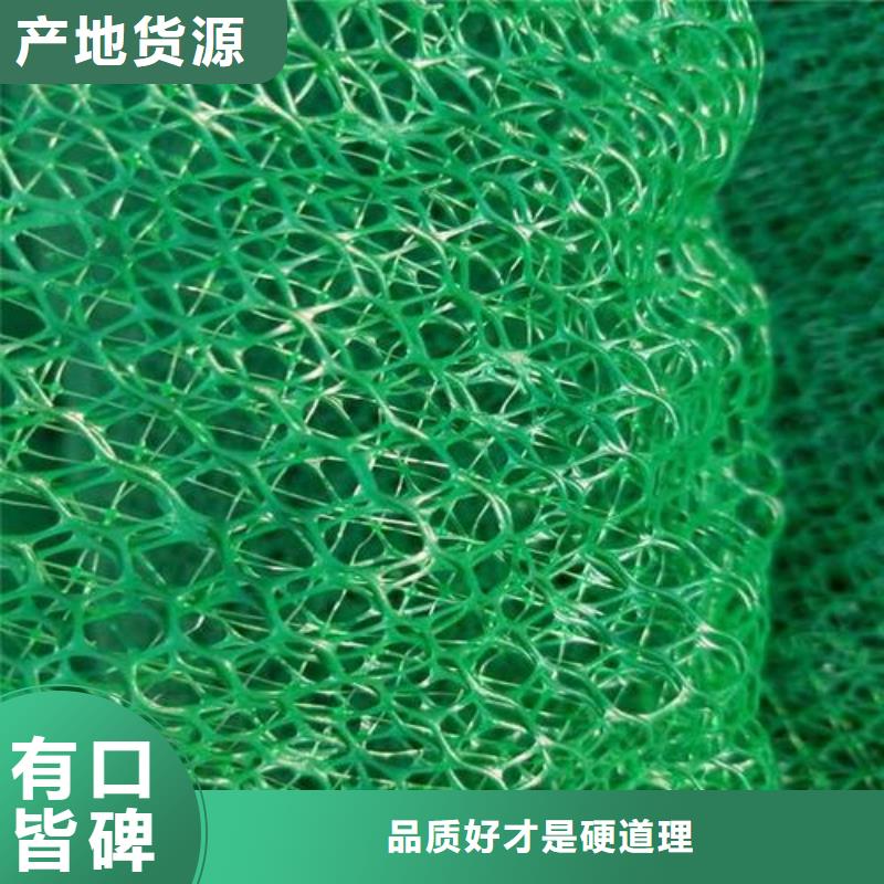 三维植被网-【长丝土工布】品质有保障