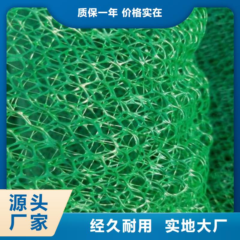 【三维植被网护坡土工网来电咨询】