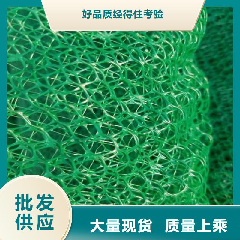 三维植被网渗排水片材批发价格