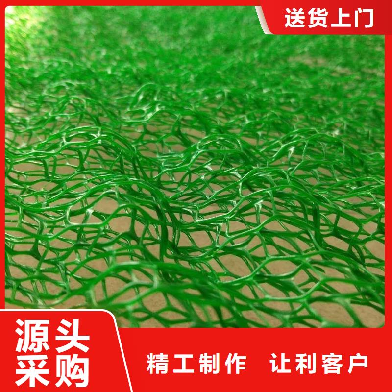 三维植被网渗排水片材批发价格