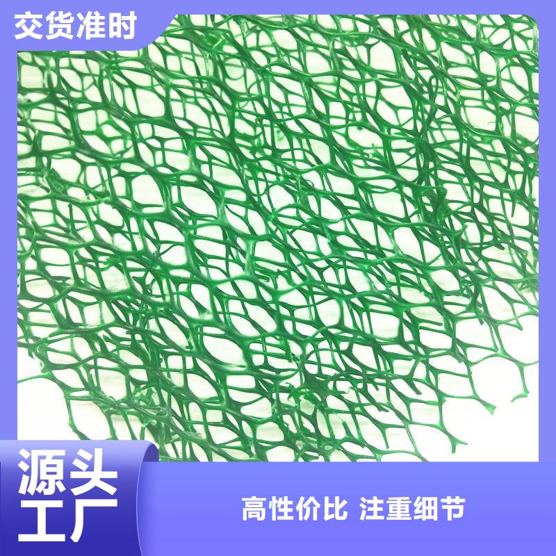 三维植被网涤纶土工格栅来图加工定制