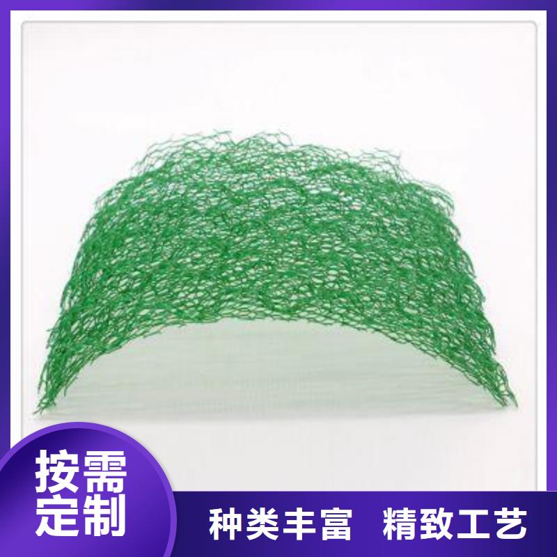 【三维植被网-三维复合排水网好厂家有担当】
