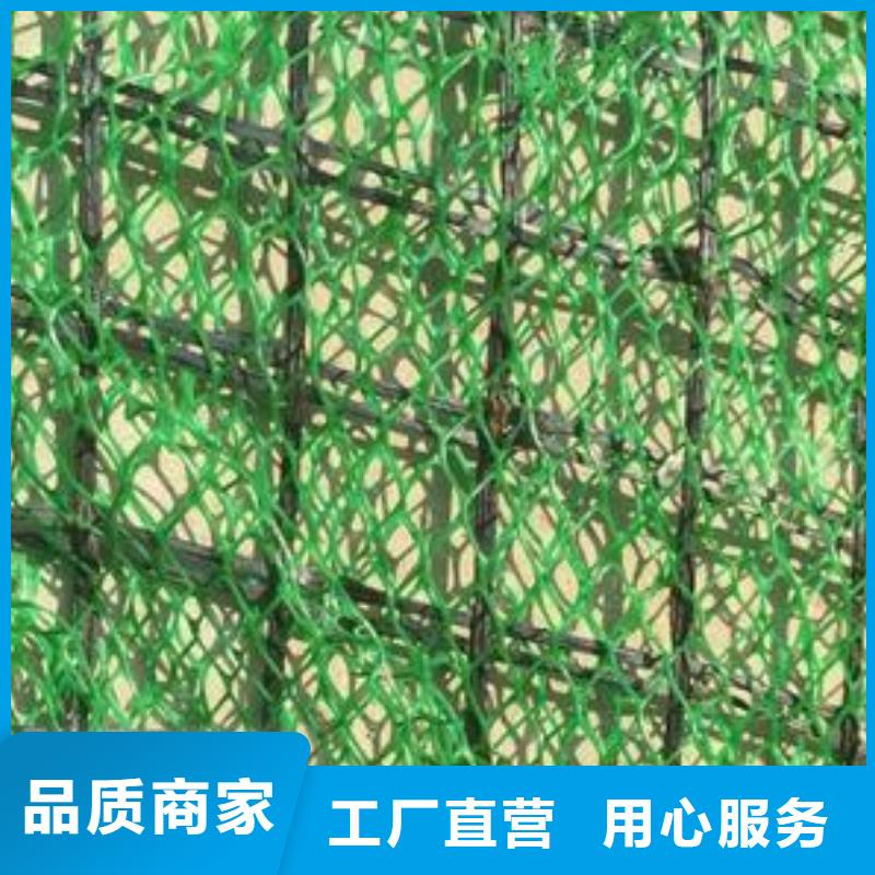 三维植被网优选厂商