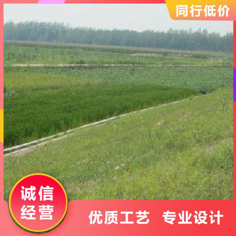 【三维植被网-三维复合排水网好厂家有担当】