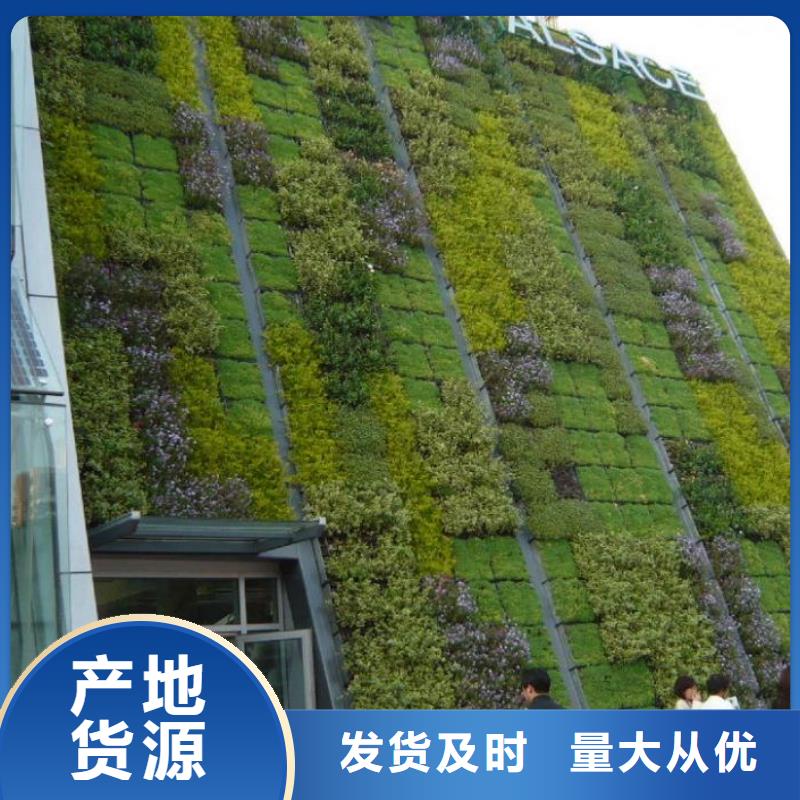 三维植被网,玻纤土工格栅厂家定制