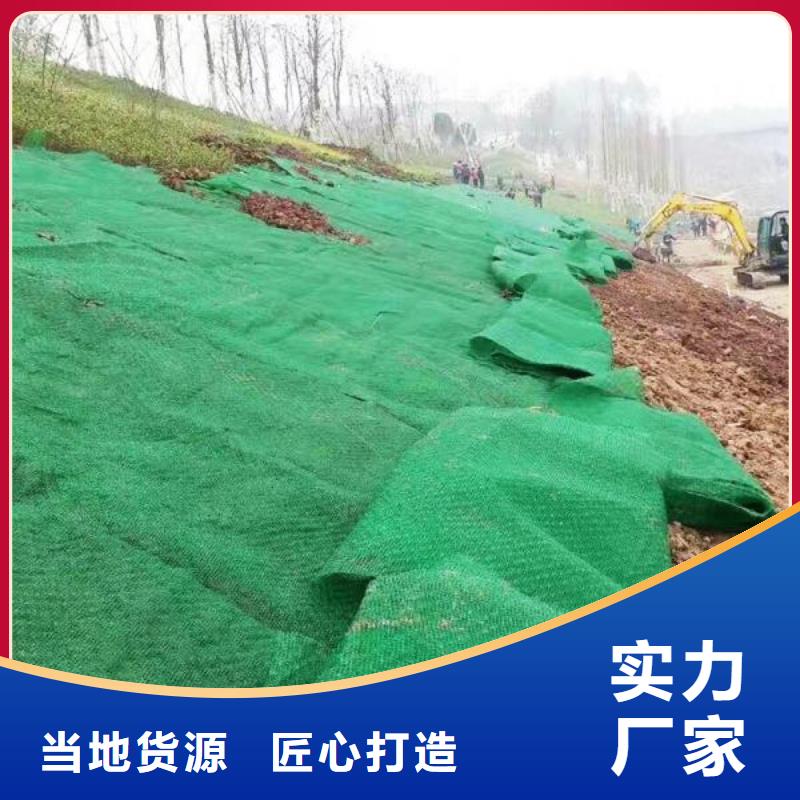 三维植被网优选厂商