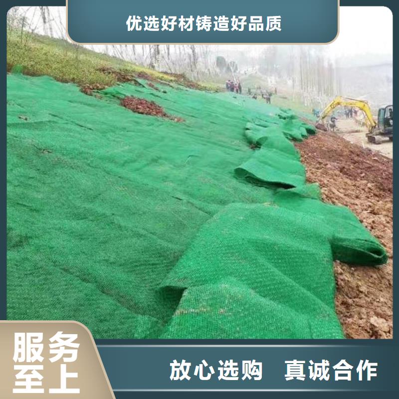 【三维植被网,长丝土工布长期供应】