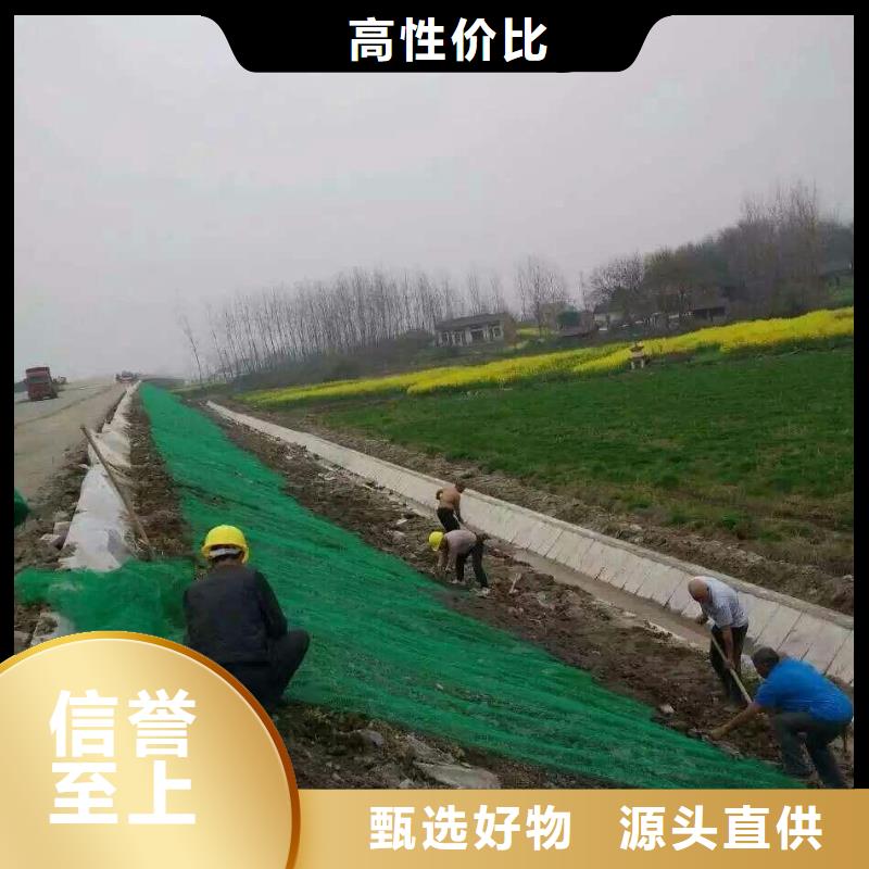 三维植被网单向拉伸塑料格栅厂家销售